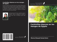 Bookcover of Cochinillas blancas en los mangos de Egipto