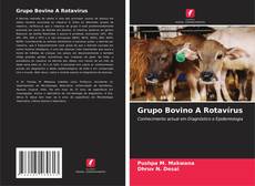 Buchcover von Grupo Bovino A Rotavírus