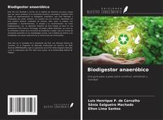 Borítókép a  Biodigestor anaeróbico - hoz