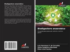 Biodigestore anaerobico kitap kapağı