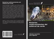 Bookcover of Bacterias multirresistentes del estiércol de cerdo