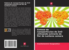 Capa do livro de Síntese de nanopartículas de ZnO utilizando extracto de flor de Lantana camara 