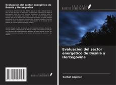 Buchcover von Evaluación del sector energético de Bosnia y Herzegovina