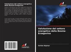Capa do livro de Valutazione del settore energetico della Bosnia-Erzegovina 