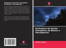 Evaluatıon Do Sector Energético da Bósnia e Herzegovina kitap kapağı