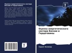 Capa do livro de Оценка энергетического сектора Боснии и Герцеговины 