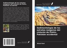 Couverture de Sedimentología de los estratos neógenos del cinturón de Pishin, Pakistán occidental