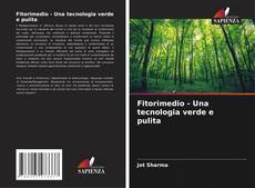 Fitorimedio - Una tecnologia verde e pulita的封面