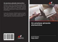 Un prezioso pirazolo eterociclico kitap kapağı