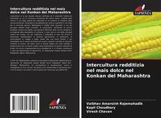 Bookcover of Intercultura redditizia nel mais dolce nel Konkan del Maharashtra