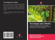 Bookcover of Tecnologia pós-colheita