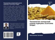 Buchcover von Технология солнечной сушки куркумы (Curcuma longa)
