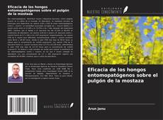 Buchcover von Eficacia de los hongos entomopatógenos sobre el pulgón de la mostaza