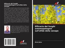 Buchcover von Efficacia dei funghi entomopatogeni sull'afide della senape