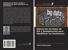 Buchcover von Utilización de datos de SIG y teledetección para identificar los fenómenos