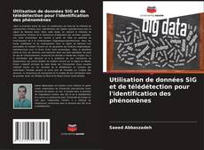 Bookcover of Utilisation de données SIG et de télédétection pour l'identification des phénomènes
