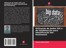 Buchcover von Utilização de dados SIG e de teledetecção para identificação dos fenómenos