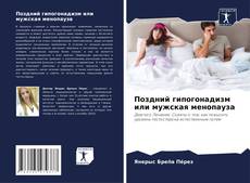 Bookcover of Поздний гипогонадизм или мужская менопауза