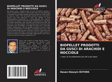 BIOPELLET PRODOTTI DA GUSCI DI ARACHIDI E NOCCIOLE kitap kapağı