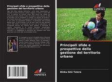 Bookcover of Principali sfide e prospettive della gestione del territorio urbano