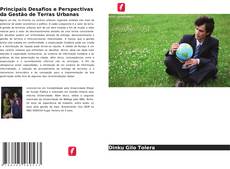 Copertina di Principais Desafios e Perspectivas da Gestão de Terras Urbanas