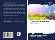 Copertina di СОЛНЕЧНАЯ ТИШИНА