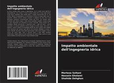 Bookcover of Impatto ambientale dell'ingegneria idrica