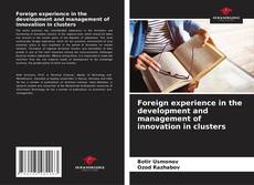 Copertina di Foreign experience in the development and management of innovation in clusters