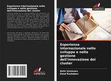 Portada del libro de Esperienza internazionale nello sviluppo e nella gestione dell'innovazione dei cluster
