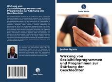 Bookcover of Wirkung von Sozialhilfeprogrammen und Programmen zur Stärkung der Geschlechter