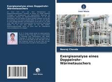 Capa do livro de Exergieanalyse eines Doppelrohr-Wärmetauschers 