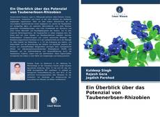 Capa do livro de Ein Überblick über das Potenzial von Taubenerbsen-Rhizobien 