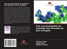 Buchcover von Une vue d'ensemble du potentiel des Rhizobia du pois d'Angole