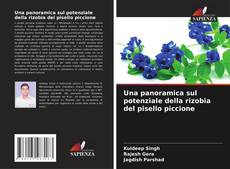 Bookcover of Una panoramica sul potenziale della rizobia del pisello piccione
