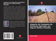 Capa do livro de Impacto do Composto de Resíduos Agrícolas em alguns Metais Pesados 