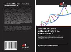 Analisi del DNA mitocondriale e del cromosoma Y kitap kapağı