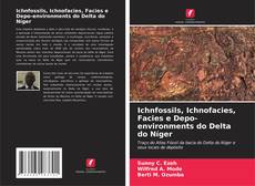 Capa do livro de Ichnfossils, Ichnofacies, Facies e Depo-environments do Delta do Níger 