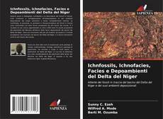 Couverture de Ichnfossils, Ichnofacies, Facies e Depoambienti del Delta del Niger
