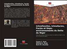 Ichnofossiles, Ichnofacies, Faciès et Dépo-environnements du Delta du Niger的封面