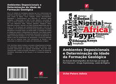Copertina di Ambientes Deposicionais e Determinação da Idade da Formação Geológica