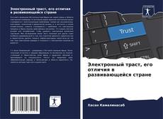 Электронный траст, его отличия в развивающейся стране kitap kapağı