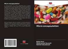 Bookcover of Micro encapsulation