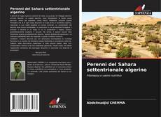 Copertina di Perenni del Sahara settentrionale algerino