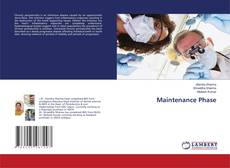Copertina di Maintenance Phase