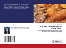 Copertina di Nutrient Enhancement of Wheat Flour