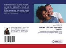 Copertina di Marital Conflicts Amongst Spouse