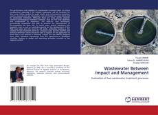 Bookcover of Wastewater Between Impact and Management