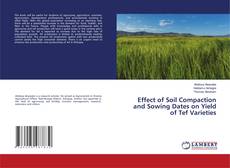 Copertina di Effect of Soil Compaction and Sowing Dates on Yield of Tef Varieties