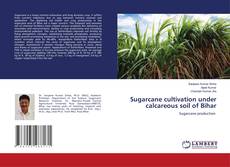 Copertina di Sugarcane cultivation under calcareous soil of Bihar