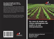 Обложка Un caso di studio sul rilievo dettagliato del suolo e la sua interpretazione